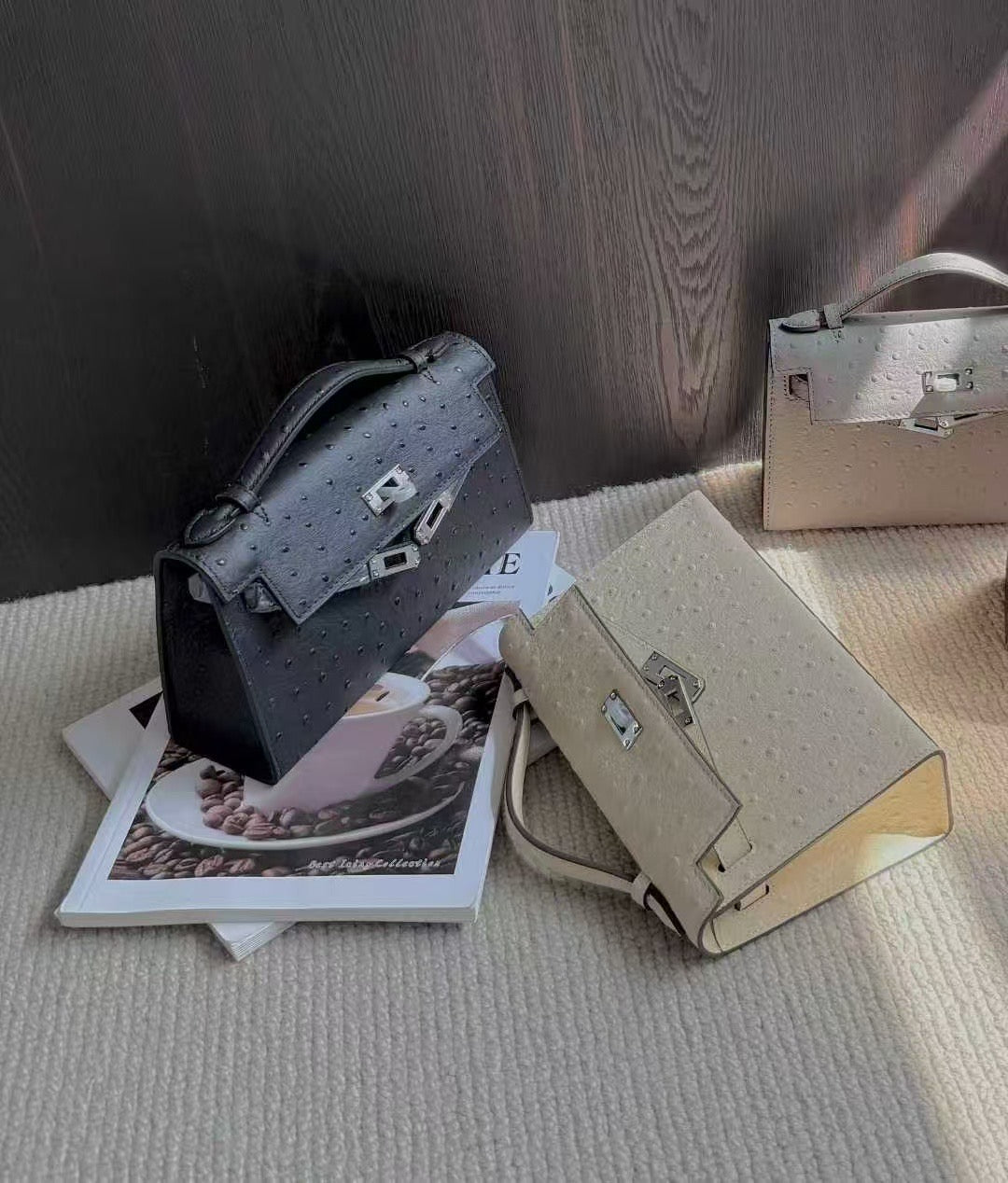 H collection- Ostrich Kelly 1