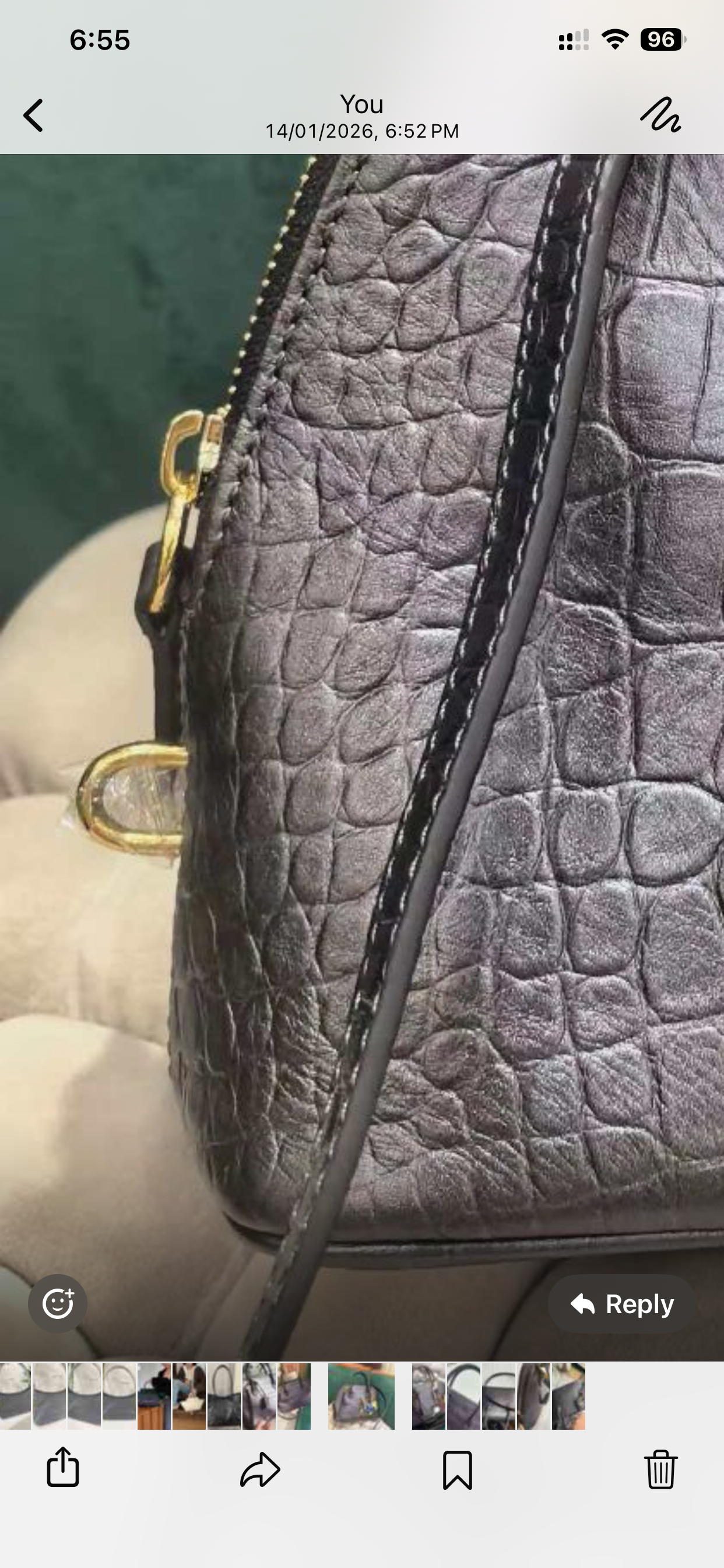 H collection-Crocodile Bolide 25