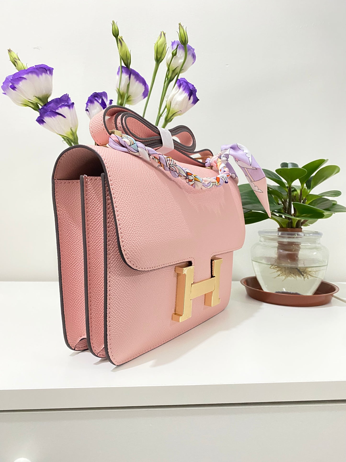 H collection- con 24 cm